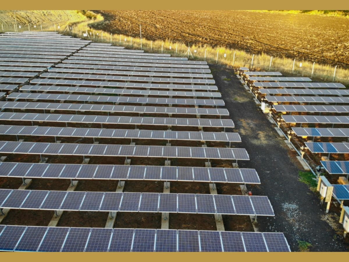 Dynamic Services and Security Ltd. Teams Up for Major Solar Power Project: 100 MW Plant in Manipur