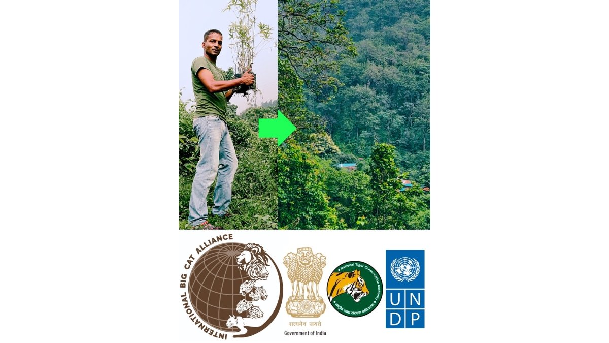 Abhishek Ray Composes the International Big Cat Alliance Anthem for UN and GOI