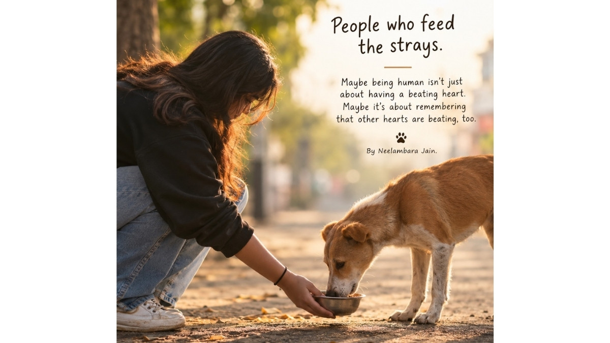 Beyond Humanity: How Local Animal Feeders Are Redefining Urban Compassion in a Tech-Driven Era